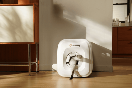 Are Automatic Cat Self Groomers Worth It in 2025