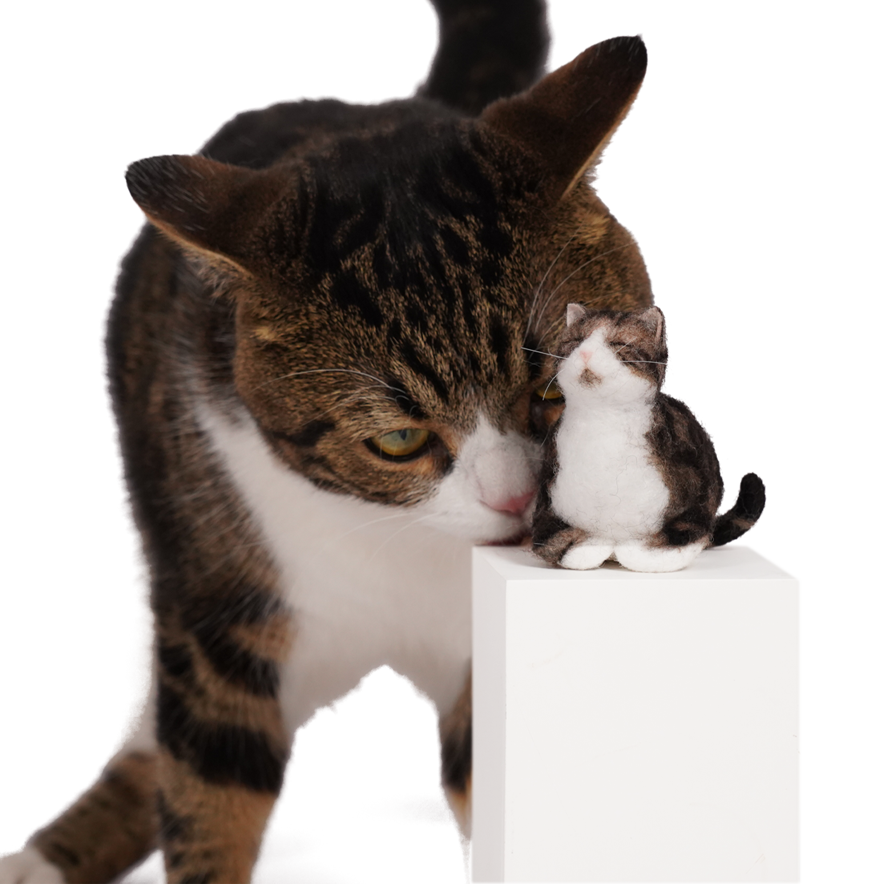 PawSwing Purr-sonalized Plush