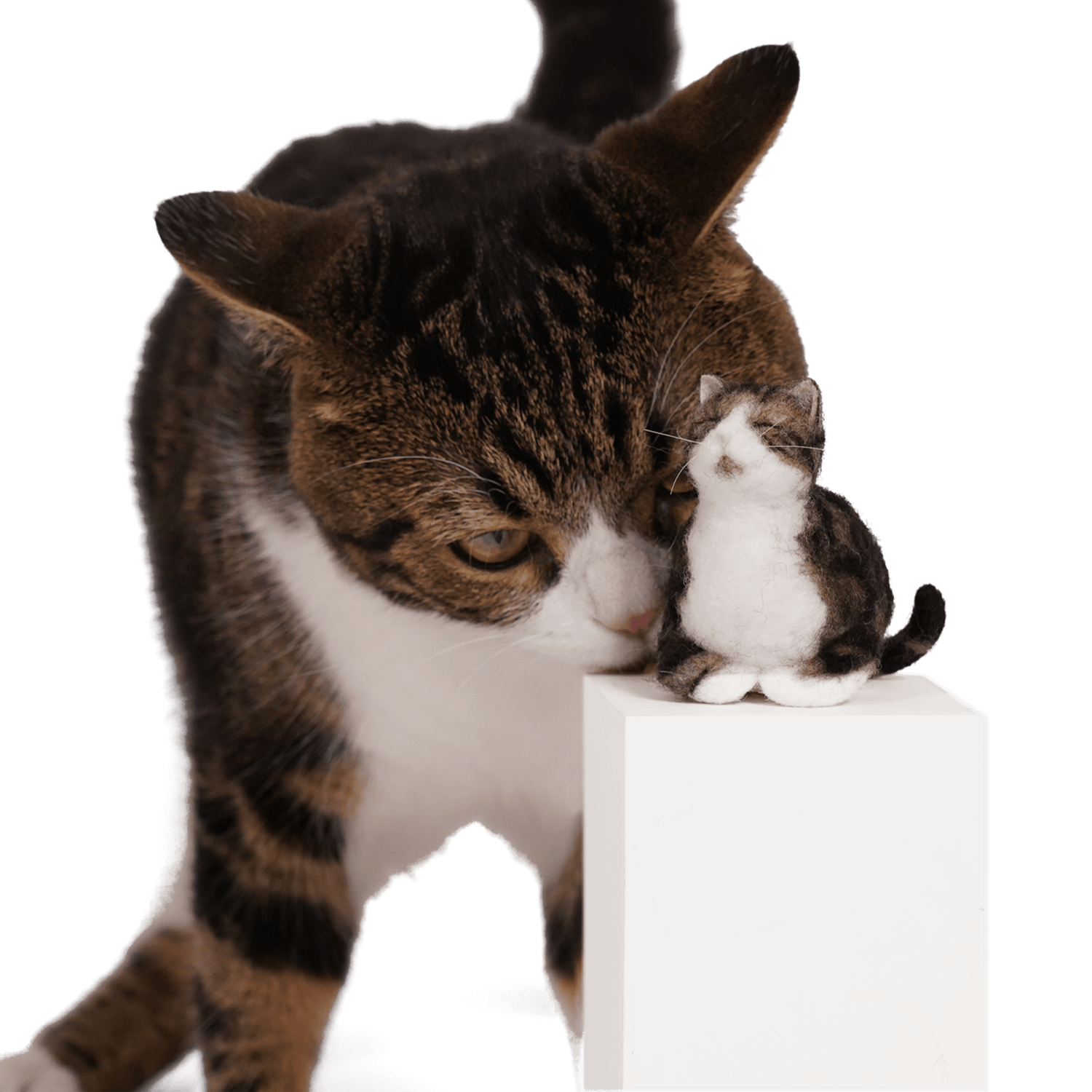 Purr-sonalized Plush