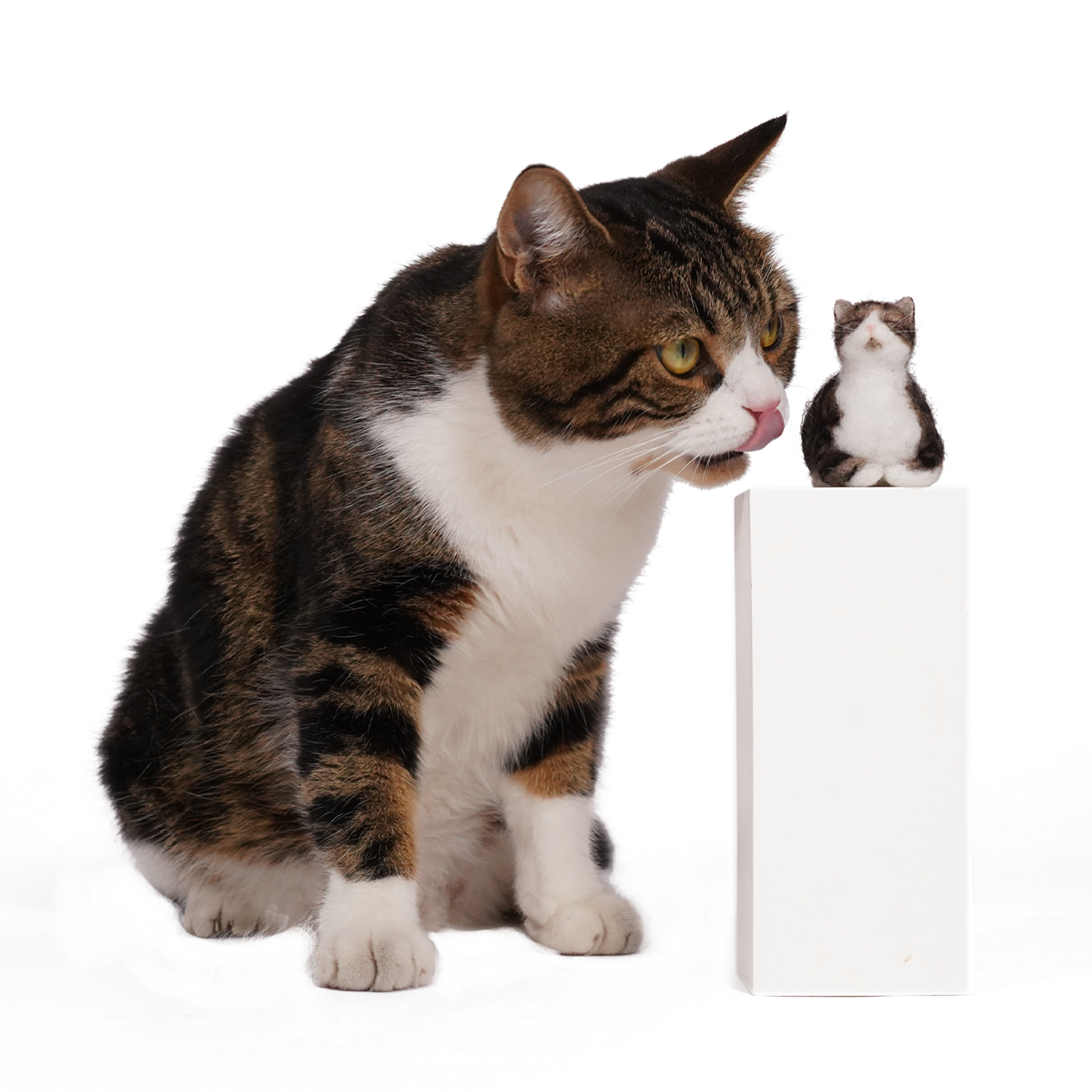 PawSwing Purr-sonalized Plush