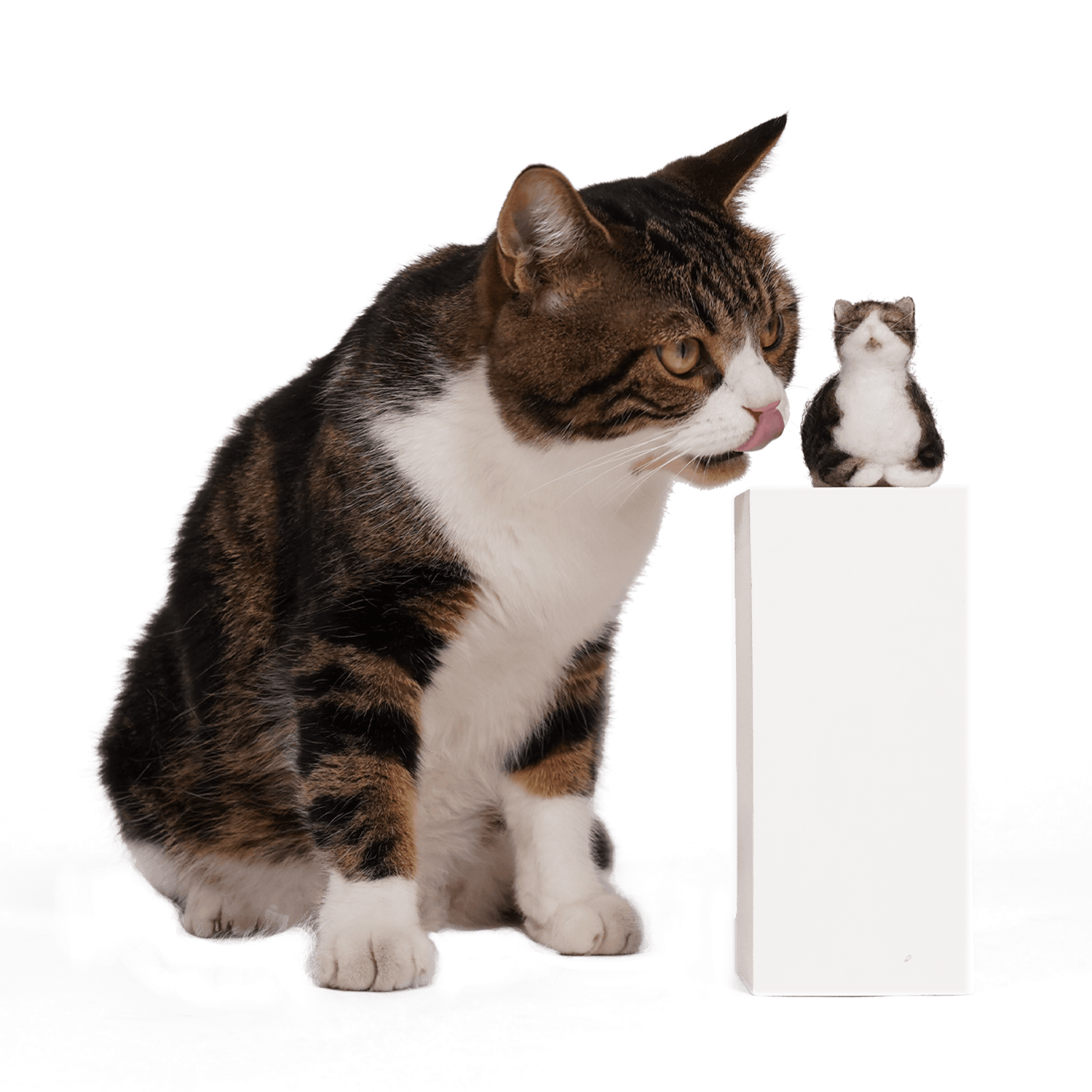 Purr-sonalized Plush