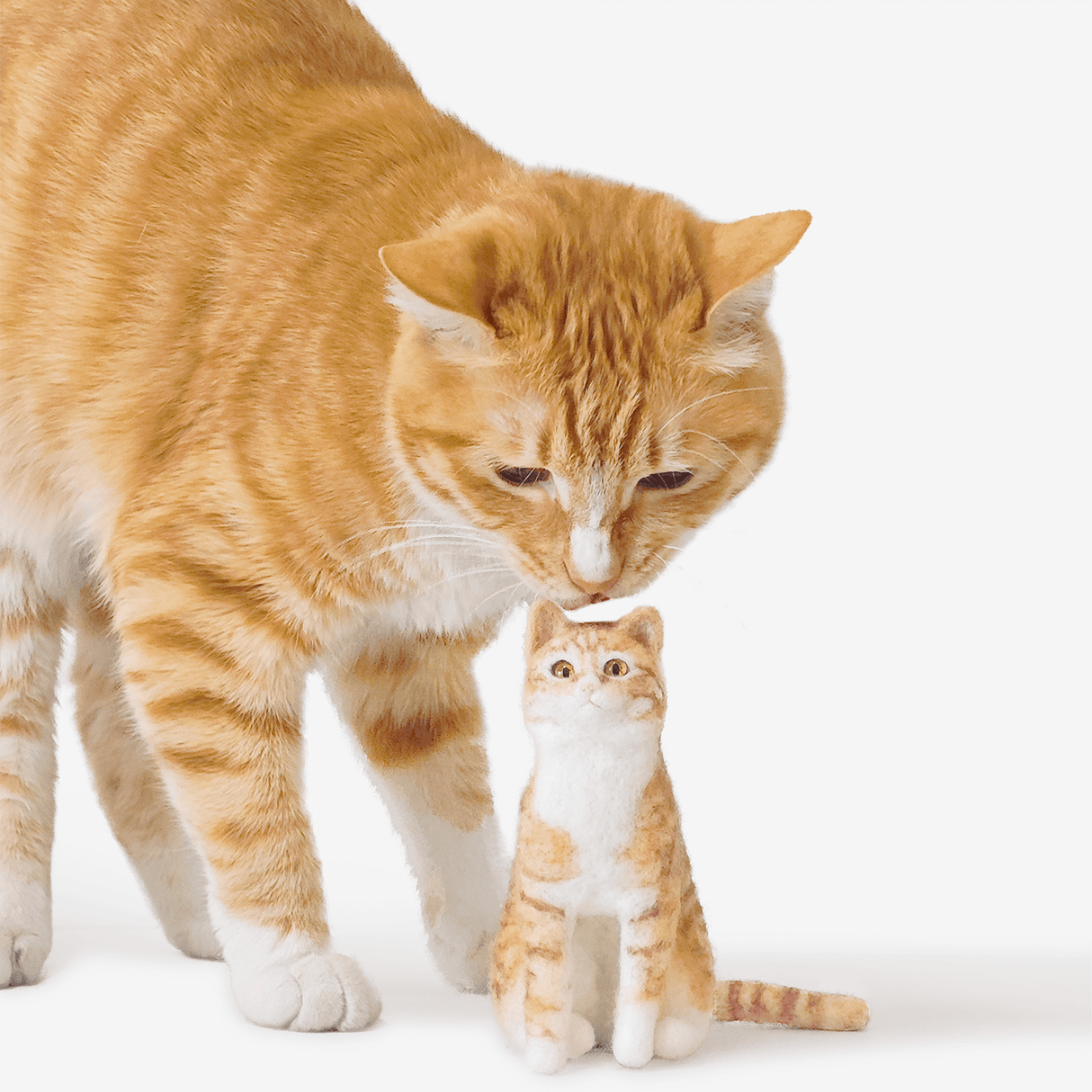 PawSwing® Purr-sonalized Plush