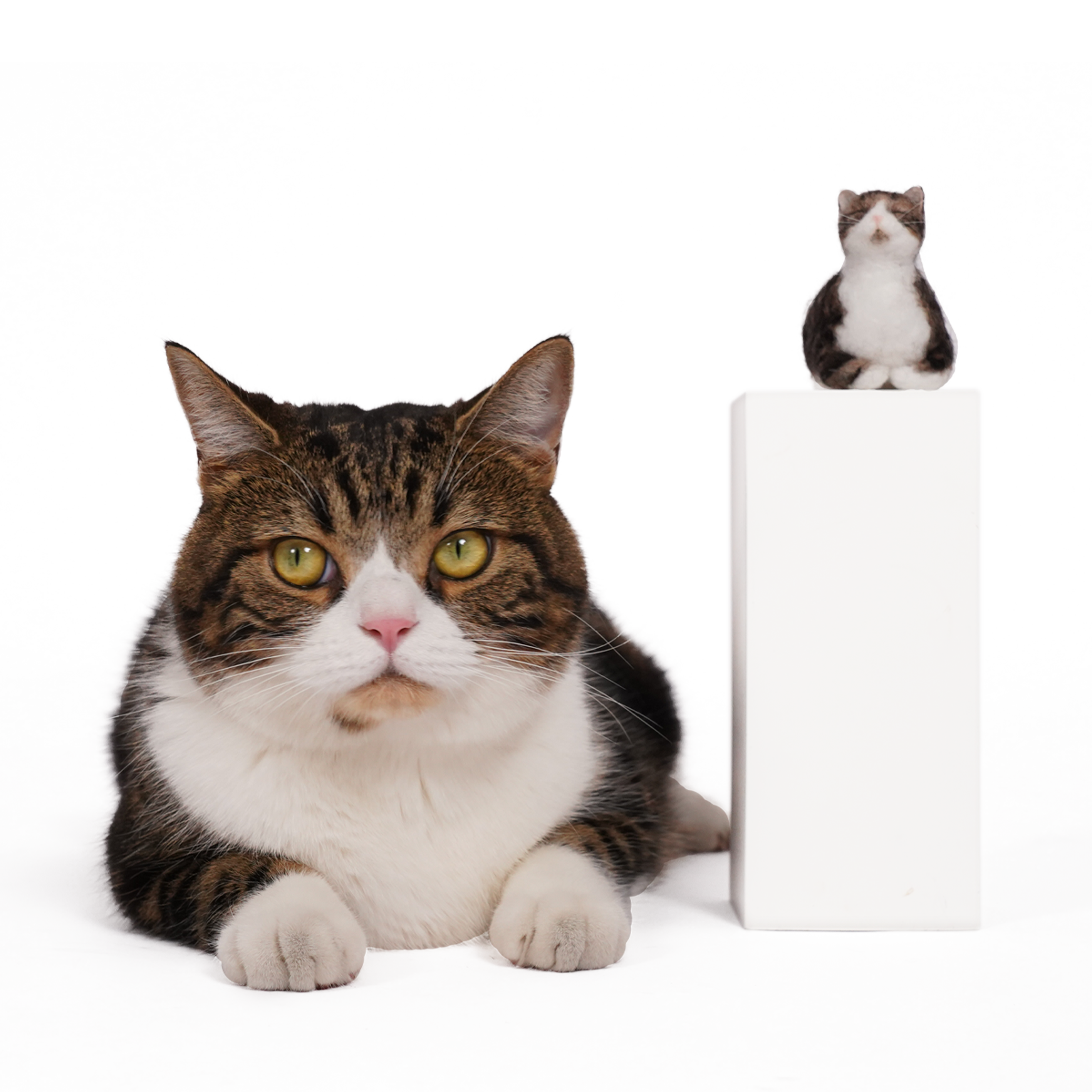 PawSwing Purr-sonalized Plush