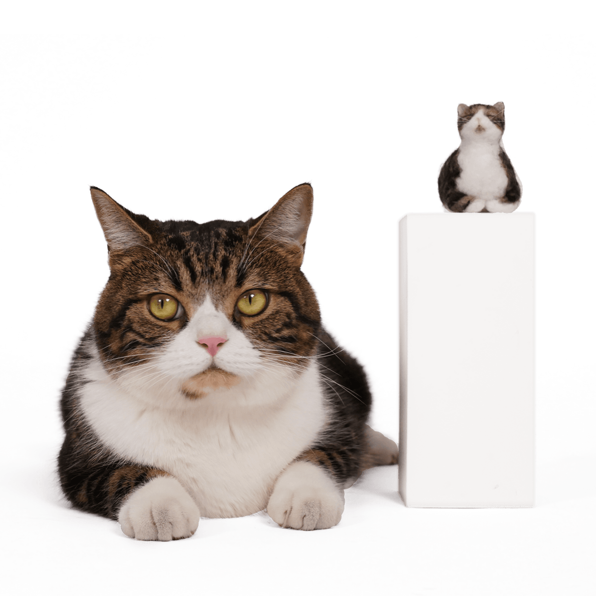 PawSwing® Purr-sonalized Plush