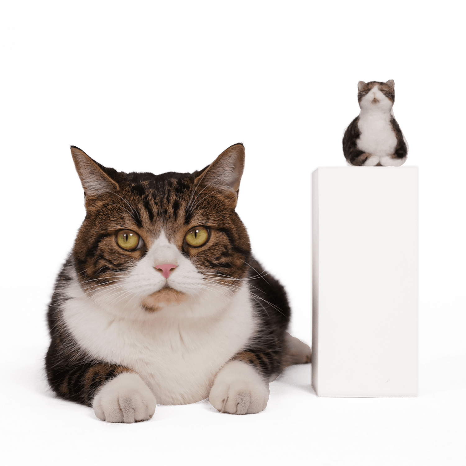 Purr-sonalized Plush