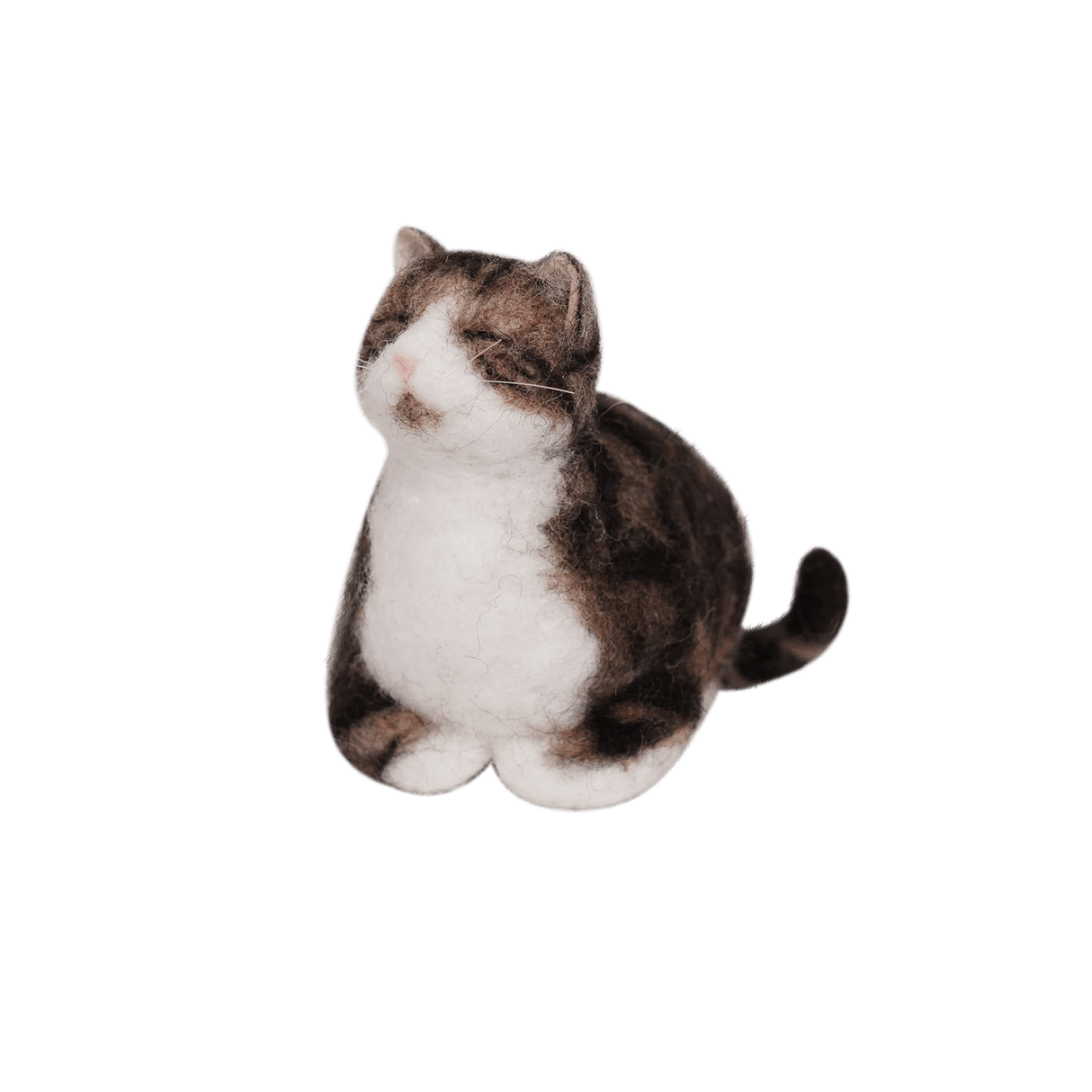 Purr-sonalized Plush