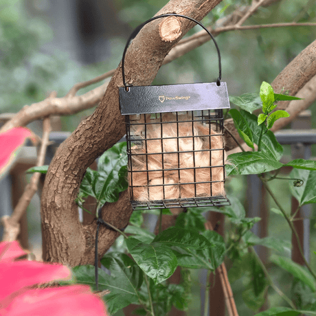 Eco-friendly PawSwing Cat Hair Suet Collector filled with cat fur, hanging on a tree branch surrounded by green leaves.