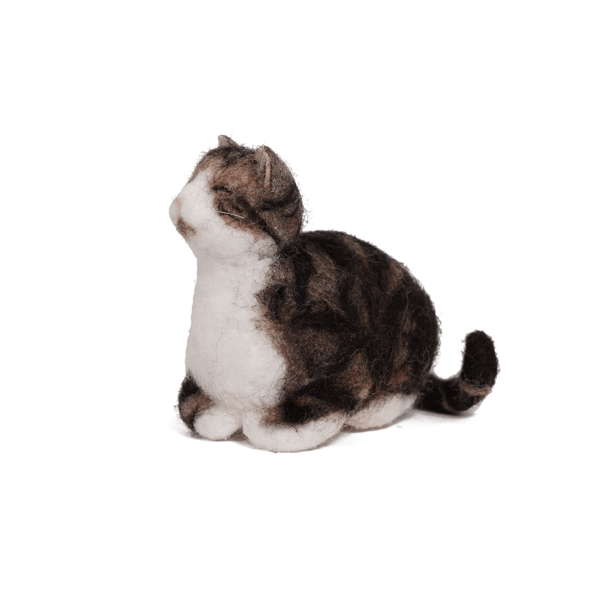 PawSwing® Purr-sonalized Plush