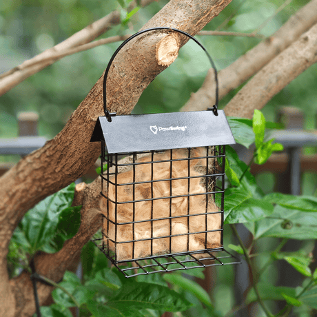 PawSwing Cat Hair Suet Collector hanging on a tree, filled with cat fur for bird nesting material.
