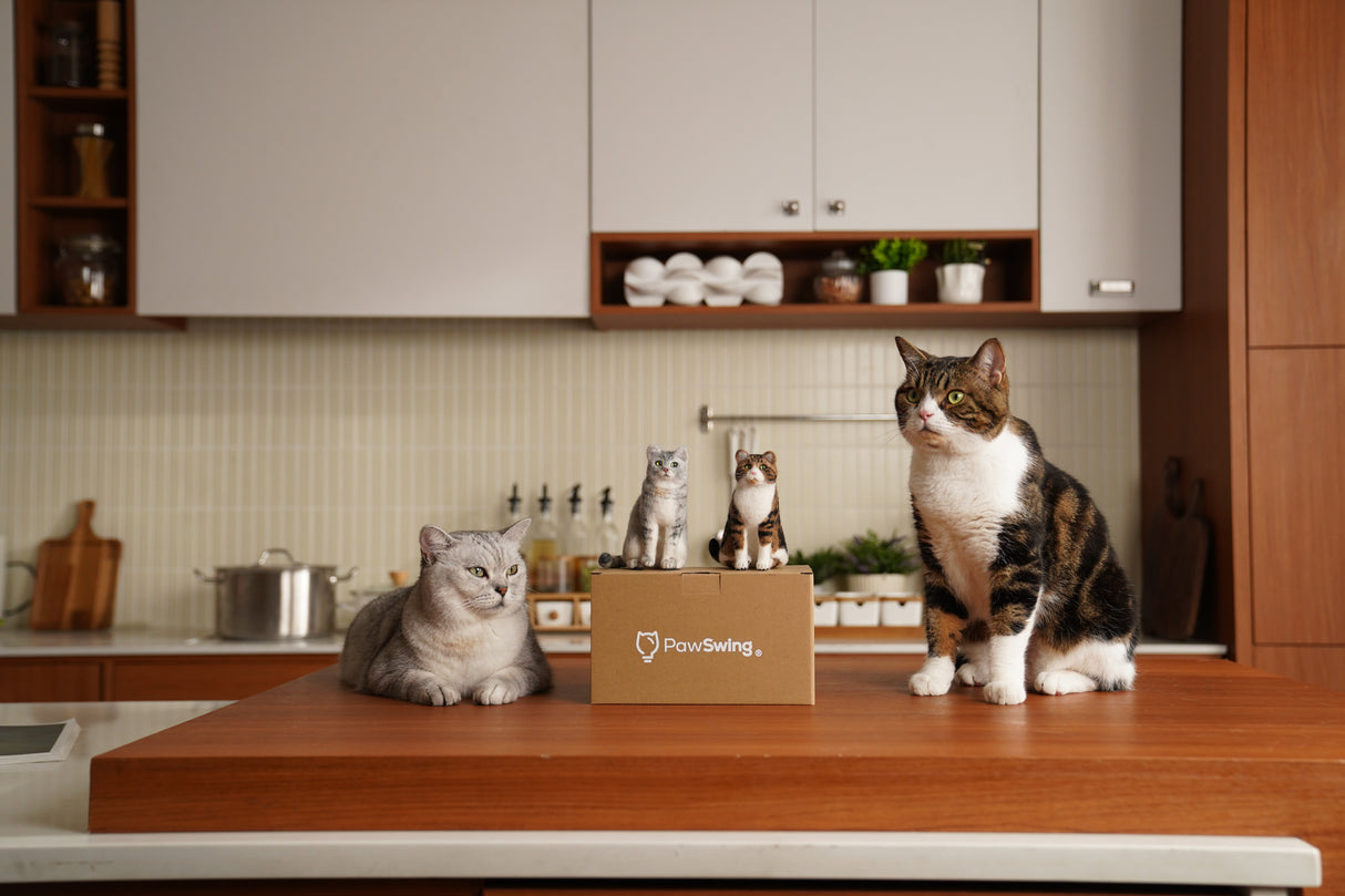 Three cats on a kitchen counter with a ProovBox in the center