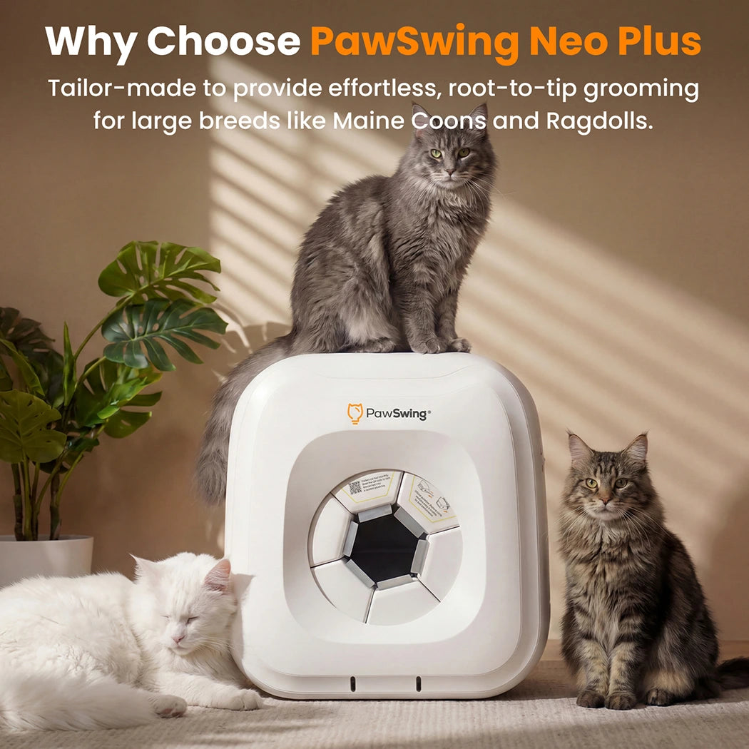 PawSwing Neo Plus (Large Cat)