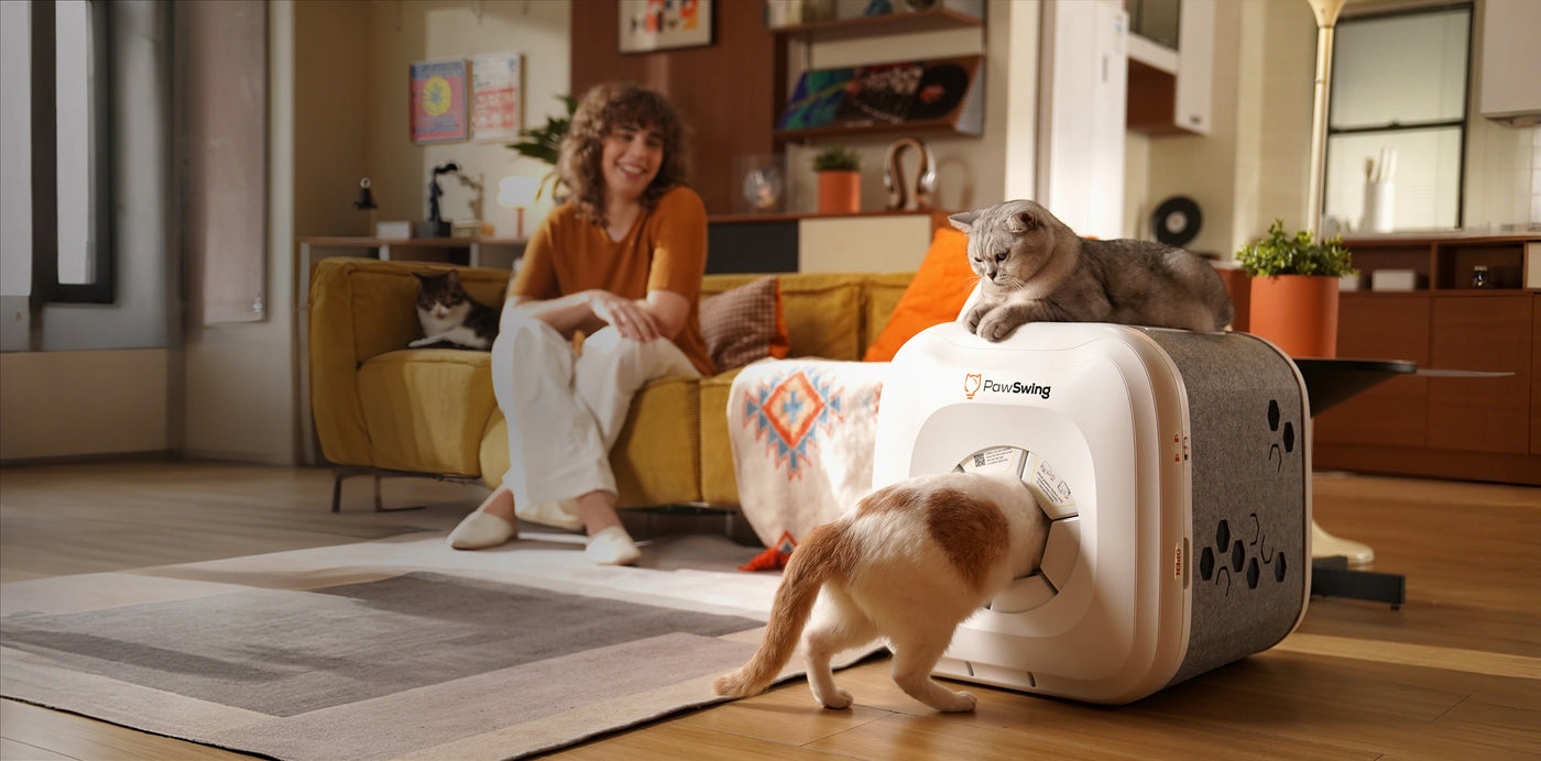 Top Picks for Self-Grooming Cat Houses for Large Cat Families