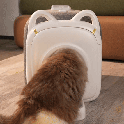 Cat entering a PawSwing AutoComb Pro grooming tool, showcasing its unique design and features.