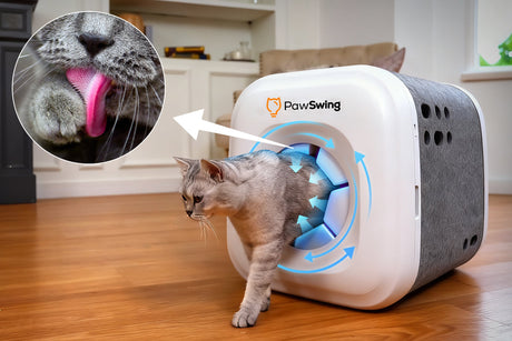 Grooming Tools