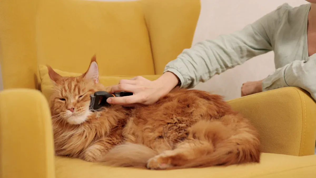 When Do Cats Shed the Most Simple Grooming Tips