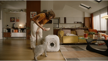 Cat Shedding Solutions