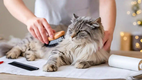 Grooming Tools