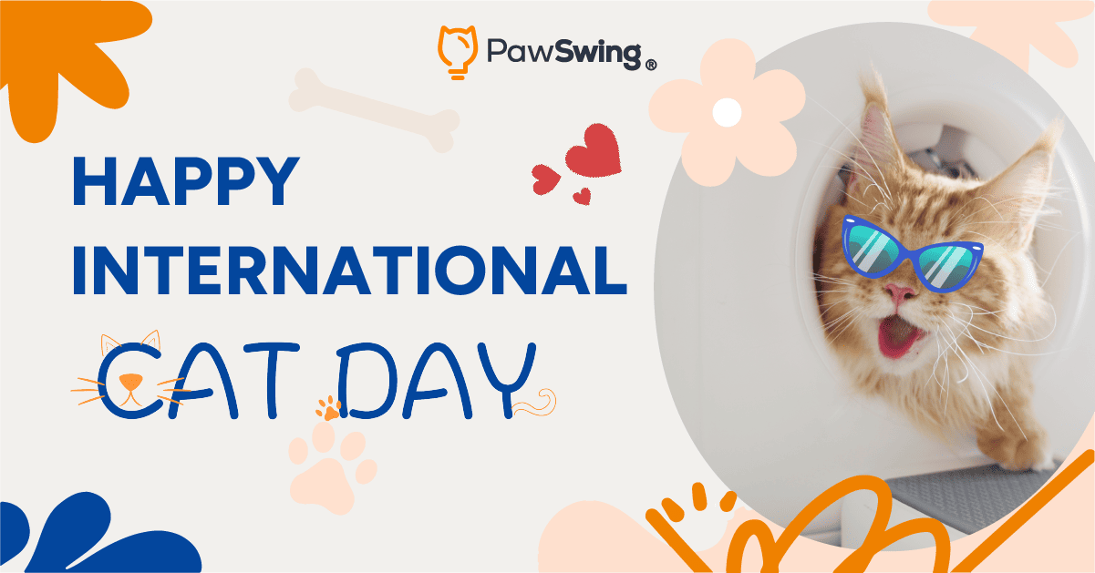 International Cat Day: Simple Ways to Make It Special