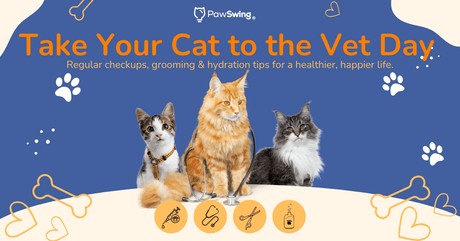 Take Your Cat to the Vet Day: Essential Health Tips for Cats Over 5 Years Old
