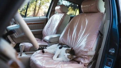Car Seat Covers for Cat Owners Who Hate Hair
