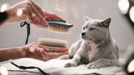 Pawswing vs Grooming Gloves Which Offers More Comfort