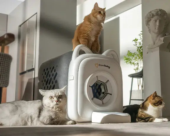 Top 8 Cat Self-Groomers for Singapura Cats in 2025 Reviewed