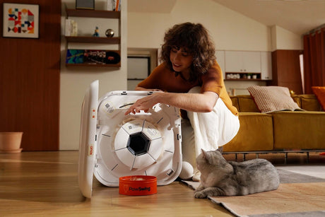 Hands-Free Cat Grooming with PawSwing AutoComb – What Owners Are Sayin