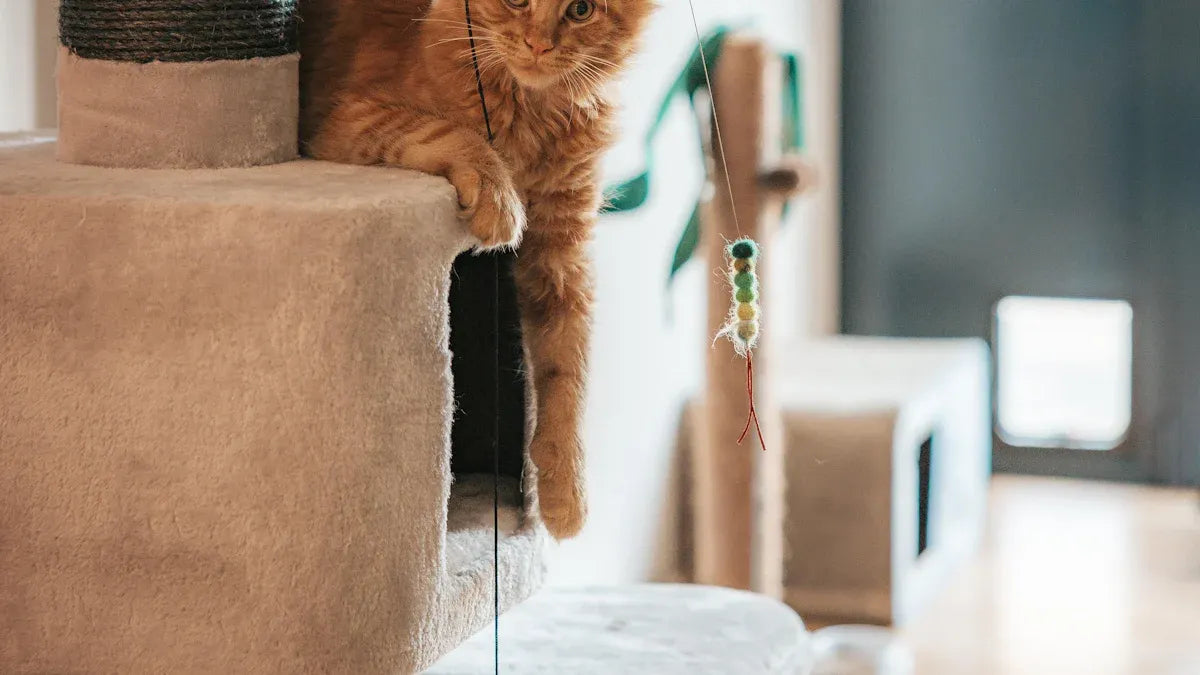 Your Complete Guide to PawSwing Neo Pre-Sale and Early Bird Offers