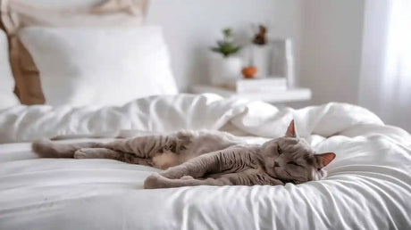 Best Bedding for Cat Fur on Bedding in 2025