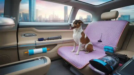 Cat Shedding Solutions