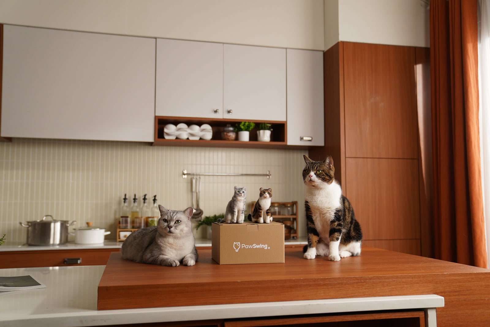 Cat Shedding Solutions