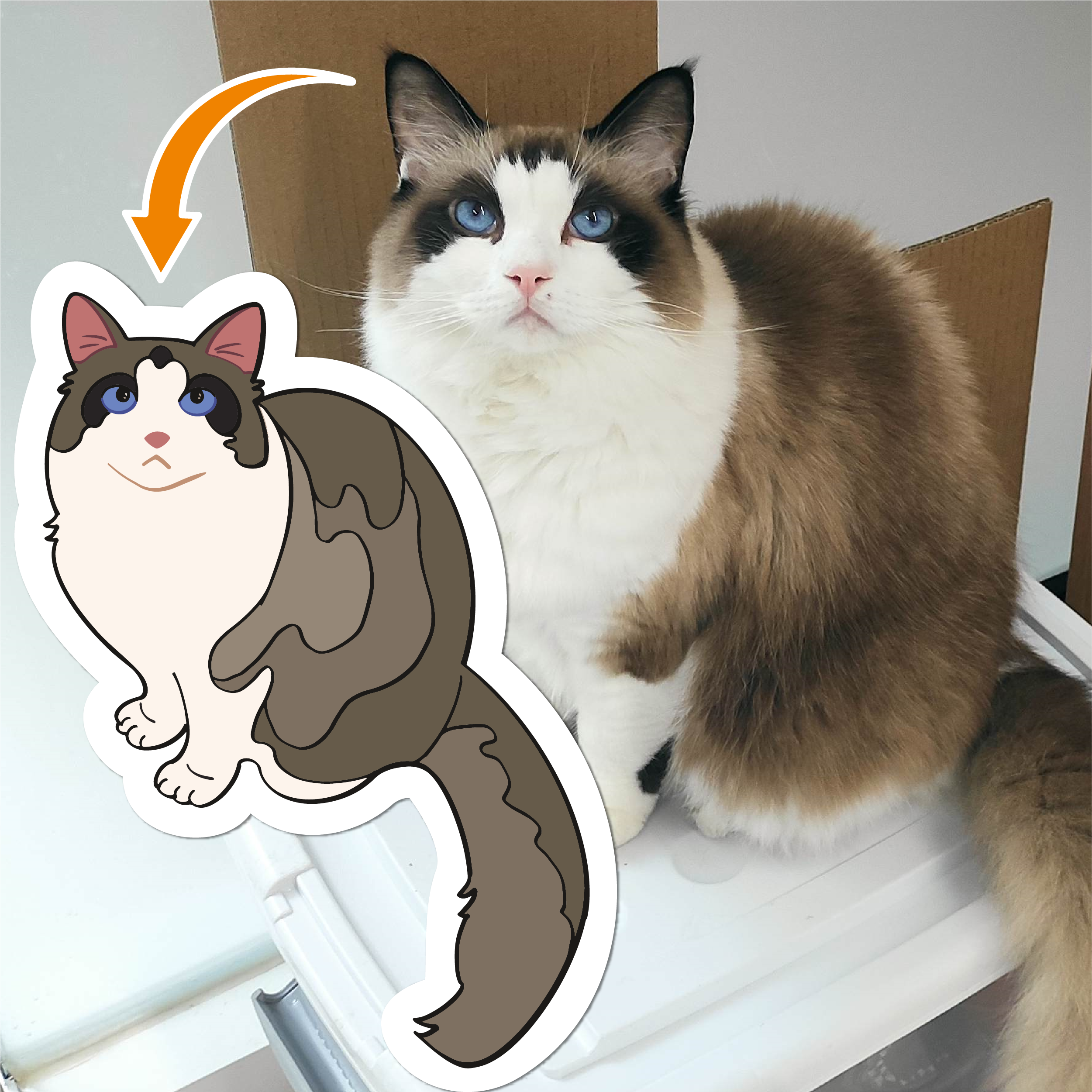 Cat Stickers