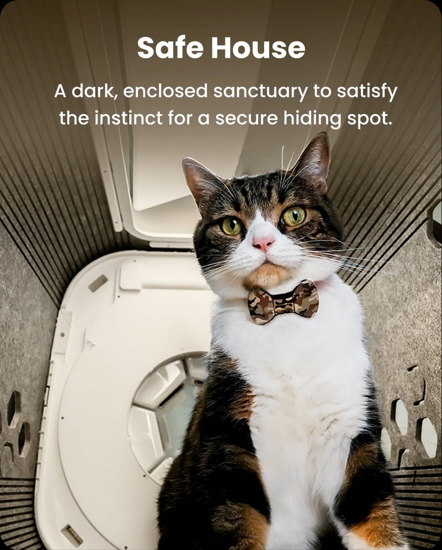 Image showing the enclosed, secure design of the PawSwing Neo