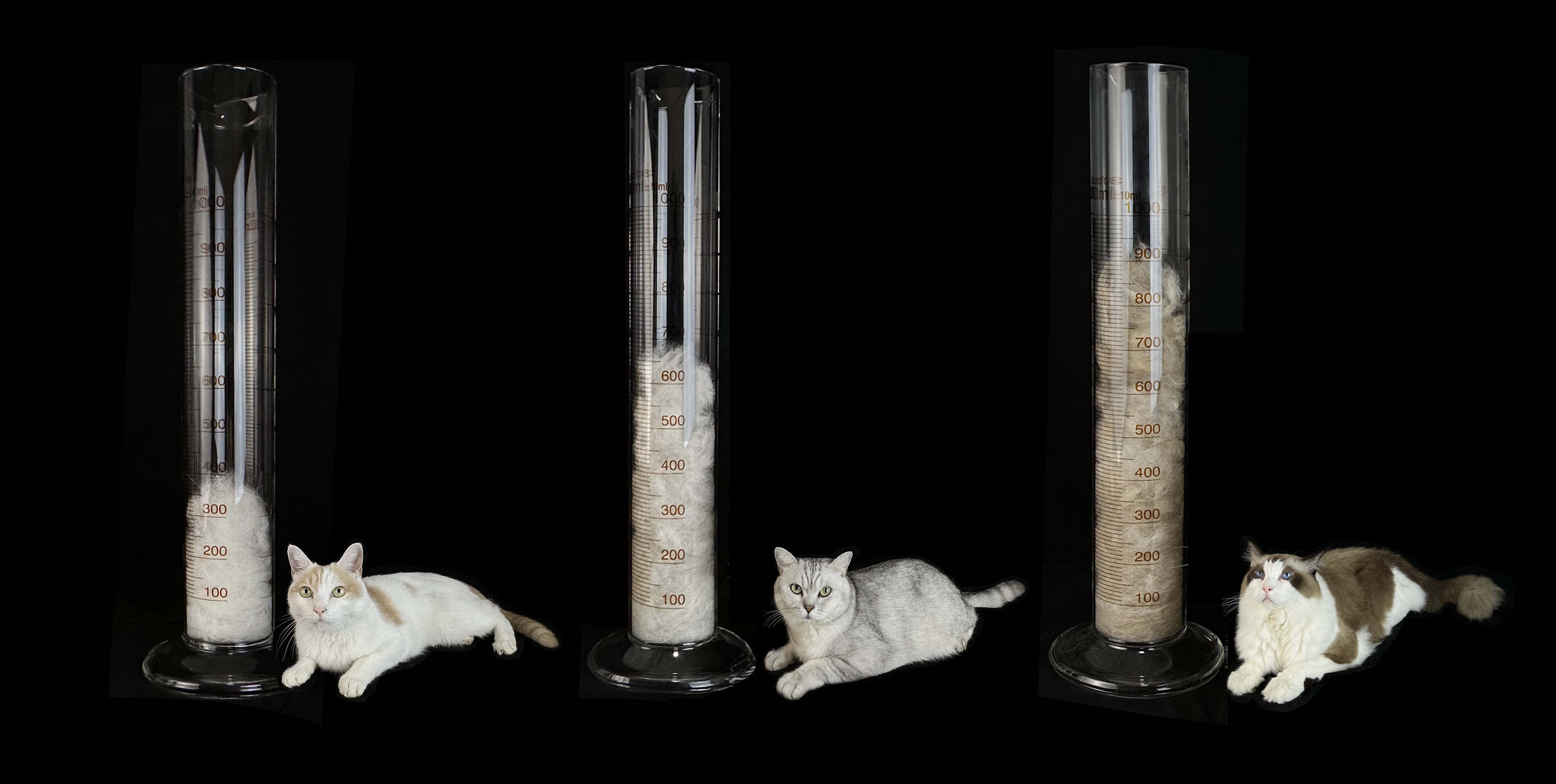 A diagram showing how the PawSwing Neo's combs capture fine hairs as a cat passes through.