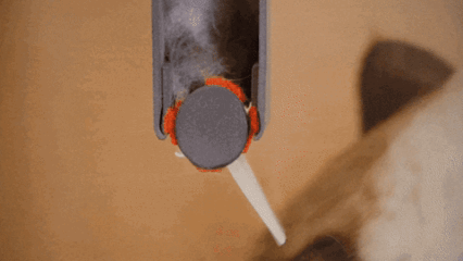 GIF showing a cat activating the grooming mechanism by walking through