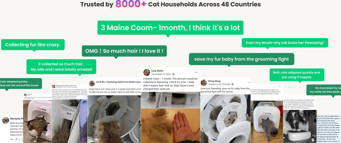 PawSwing Neo Kickstarter Receives Overwhelmingly Positive Reviews