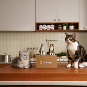 Purr-sonalized Plush