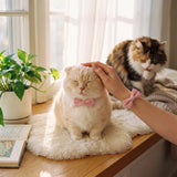 Cat Bow Tie Collar - Mother’s Day Gift