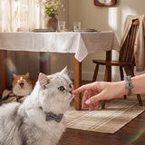 Cat Bow Tie Collar - Mother’s Day Gift