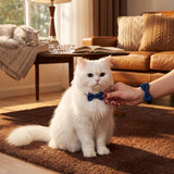 Cat Bow Tie Collar - Mother’s Day Gift